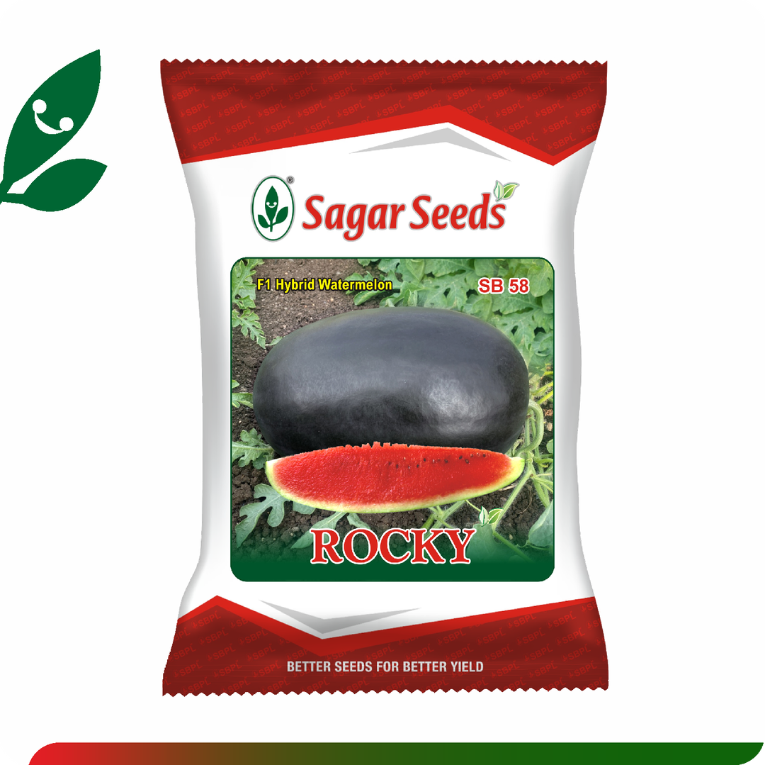 Sagar Rocky F1 Watermelon(50g)