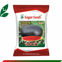 Sagar Rocky F1 Watermelon(50g)