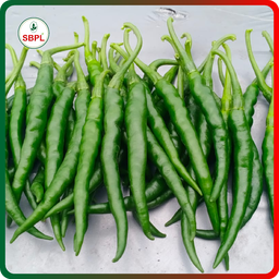 Sagar Katar F1 Chilli (10g)