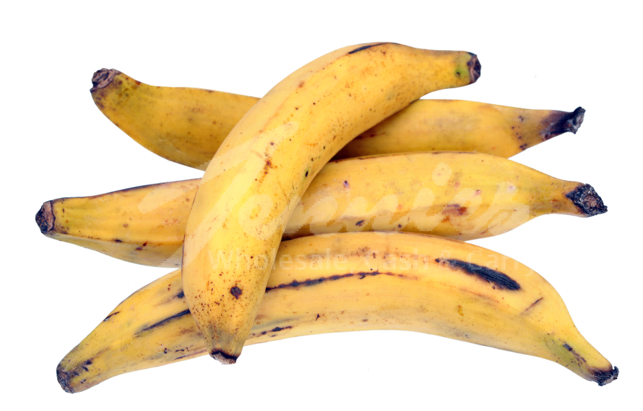 Ripe Plantain_0