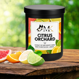 Citrus Orchard Scented Candle