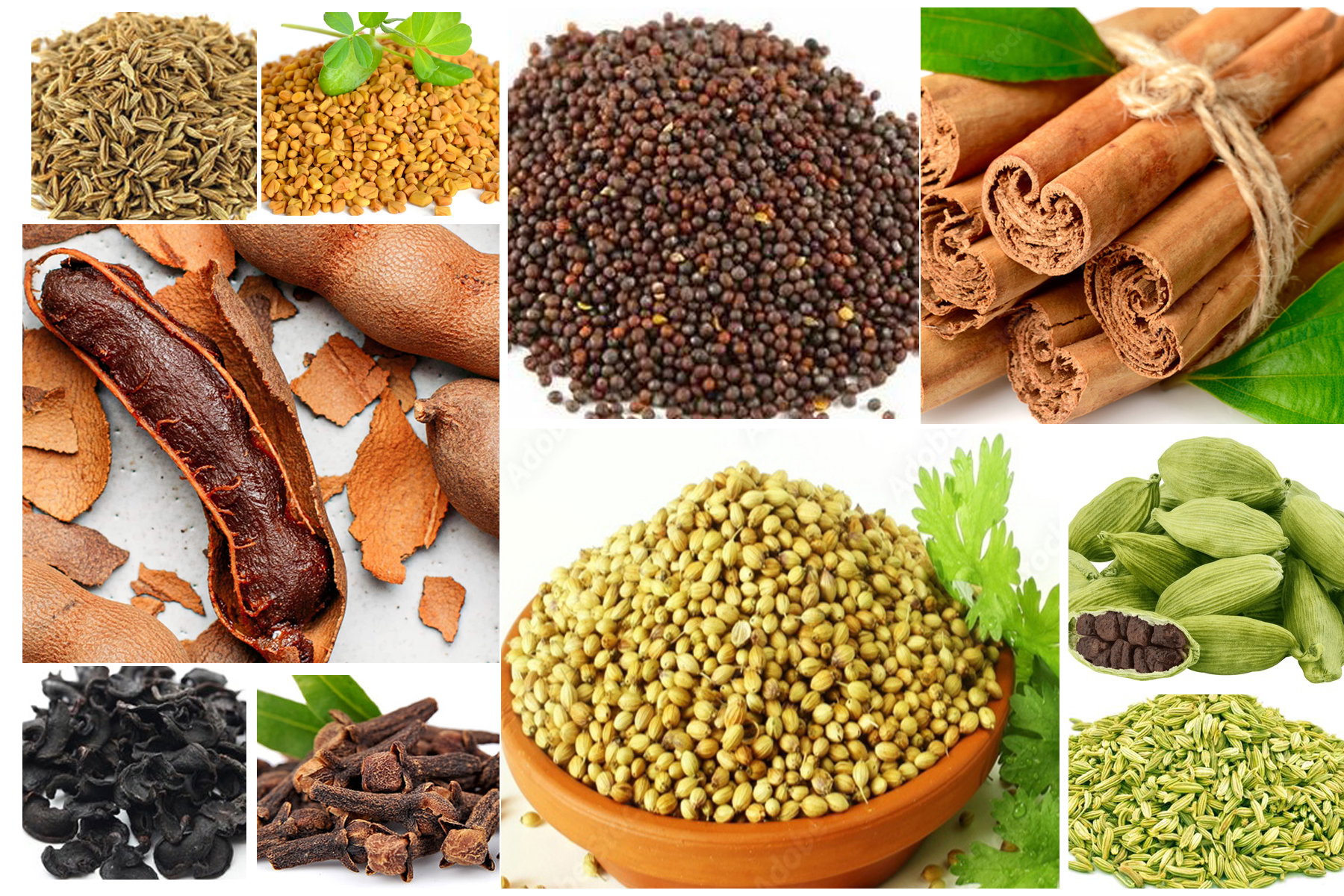 Tamarind/Goraka & other spices _0