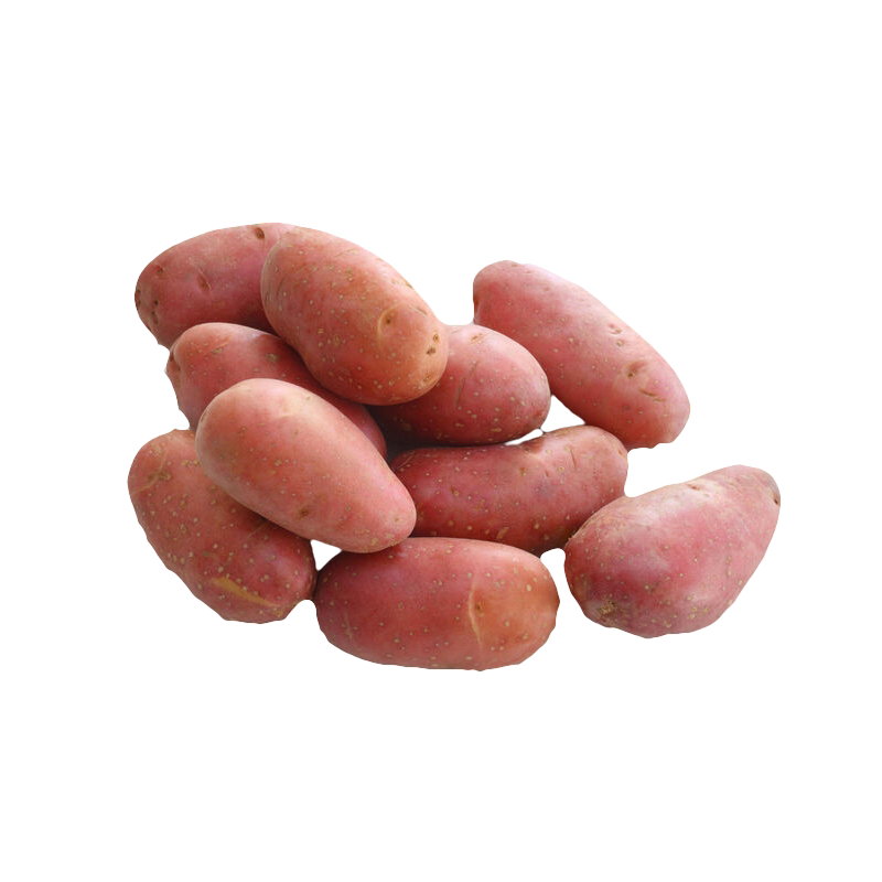 1 Balde Batata (Rena Vermelha) 