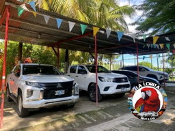 Camionetas 4x4