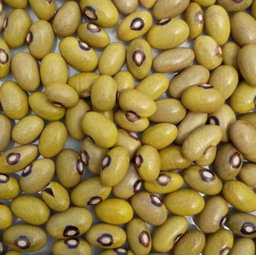 Yellow Beans