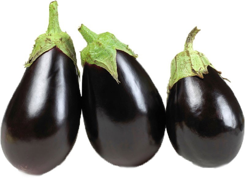 باذنجان اسود _0