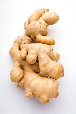 زنجبيل 