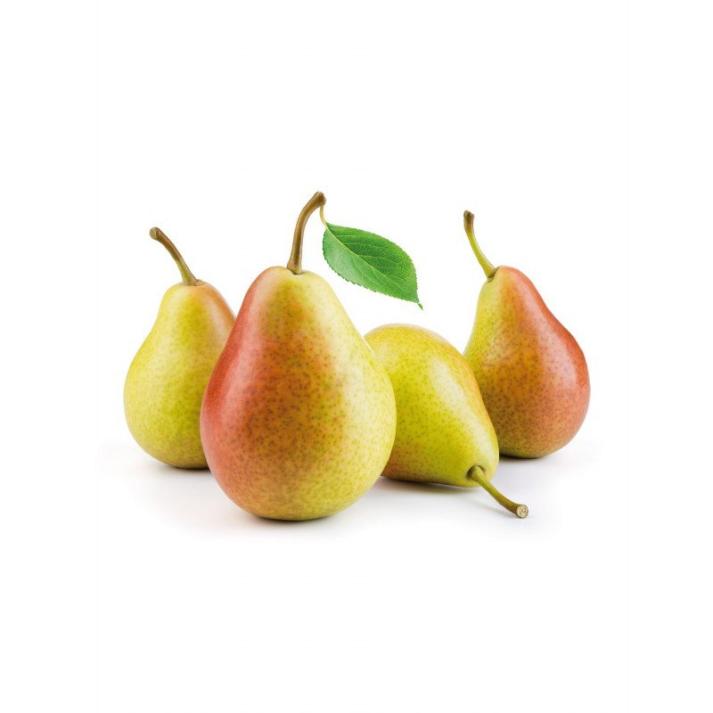 عرموط