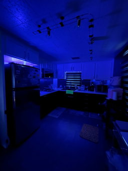 LED's para decorar quarto Masculino femenino 