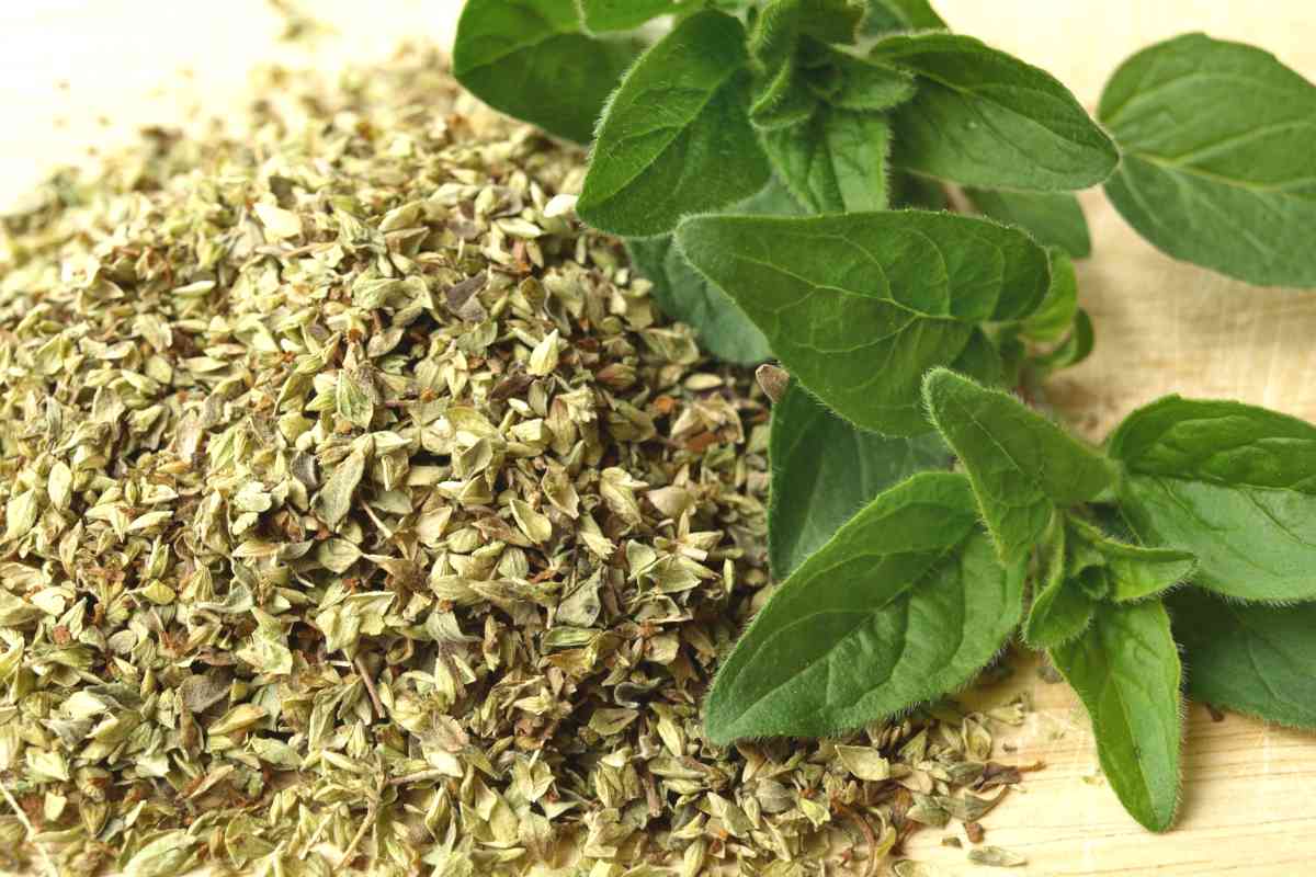 Dried Oregano/ Oregano Kering_0