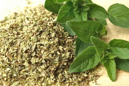 Dried Oregano/ Oregano Kering