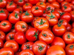 tomatoes_0