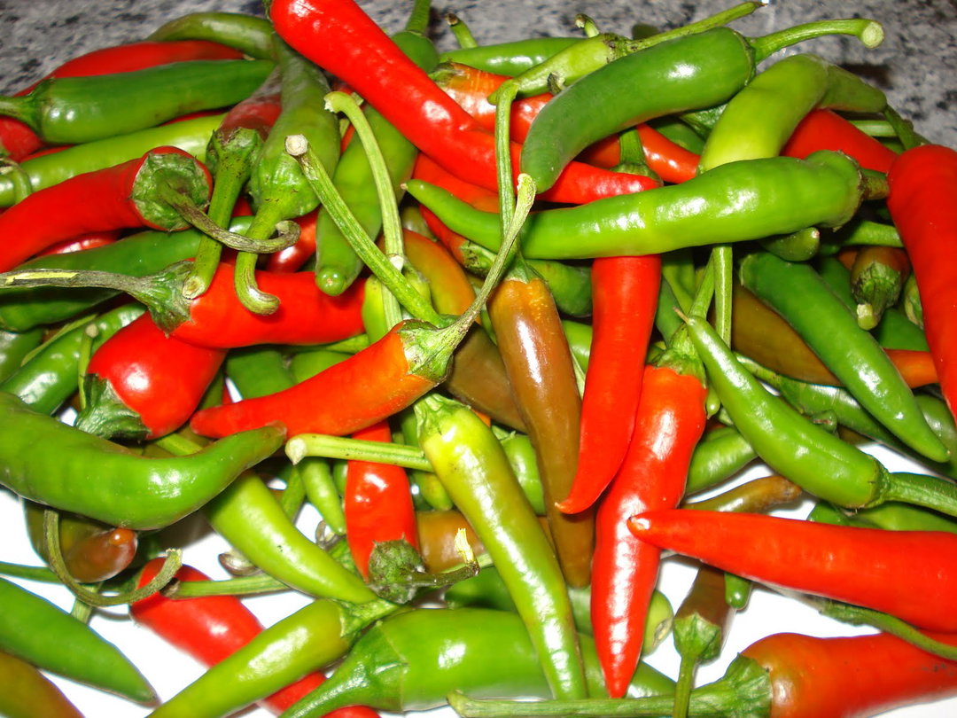 Jindungo 30g
