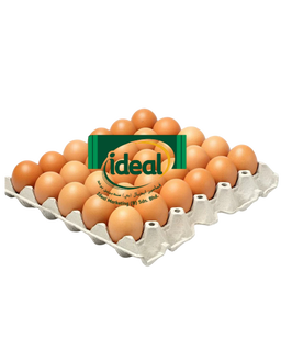 Ideal Fresh Chicken Eggs Grade A 30s