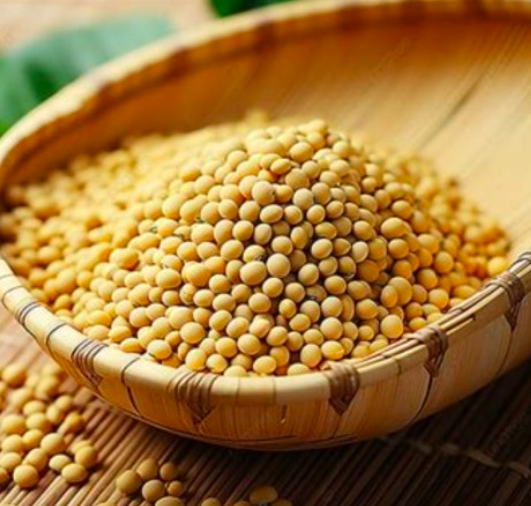 우리농산 산마루 백태 Soybeans 500g_1
