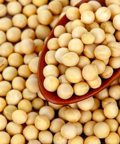 우리농산 산마루 백태 Soybeans 500g_0