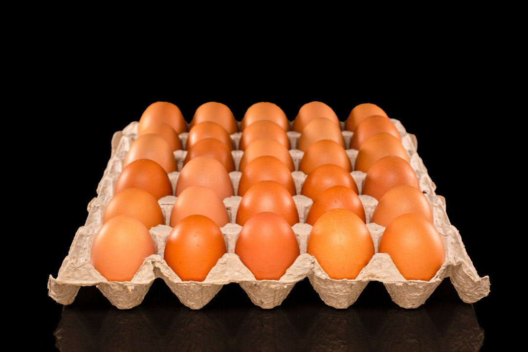Favo de 30 Ovos Organicos