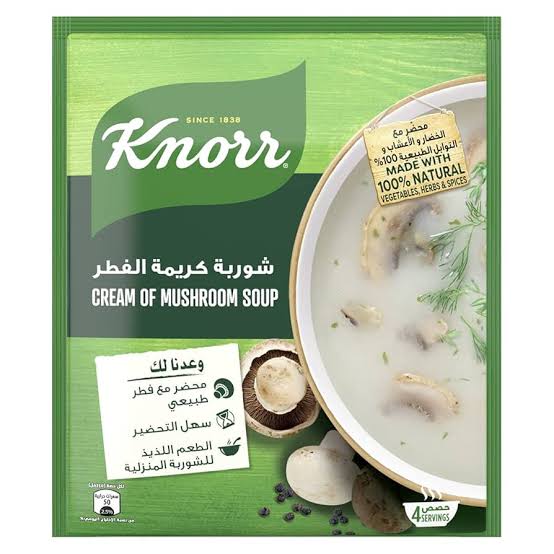 Knorr cream of mushroom soup 50g_0
