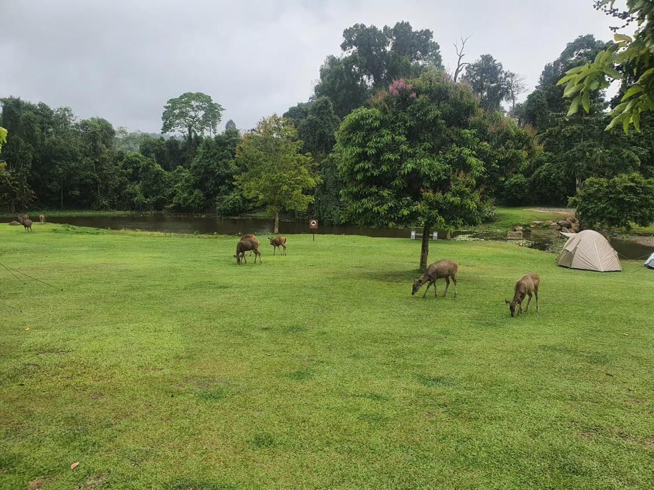 From Bangkok: Khao Yai National Park Small-Group Day Trip_3