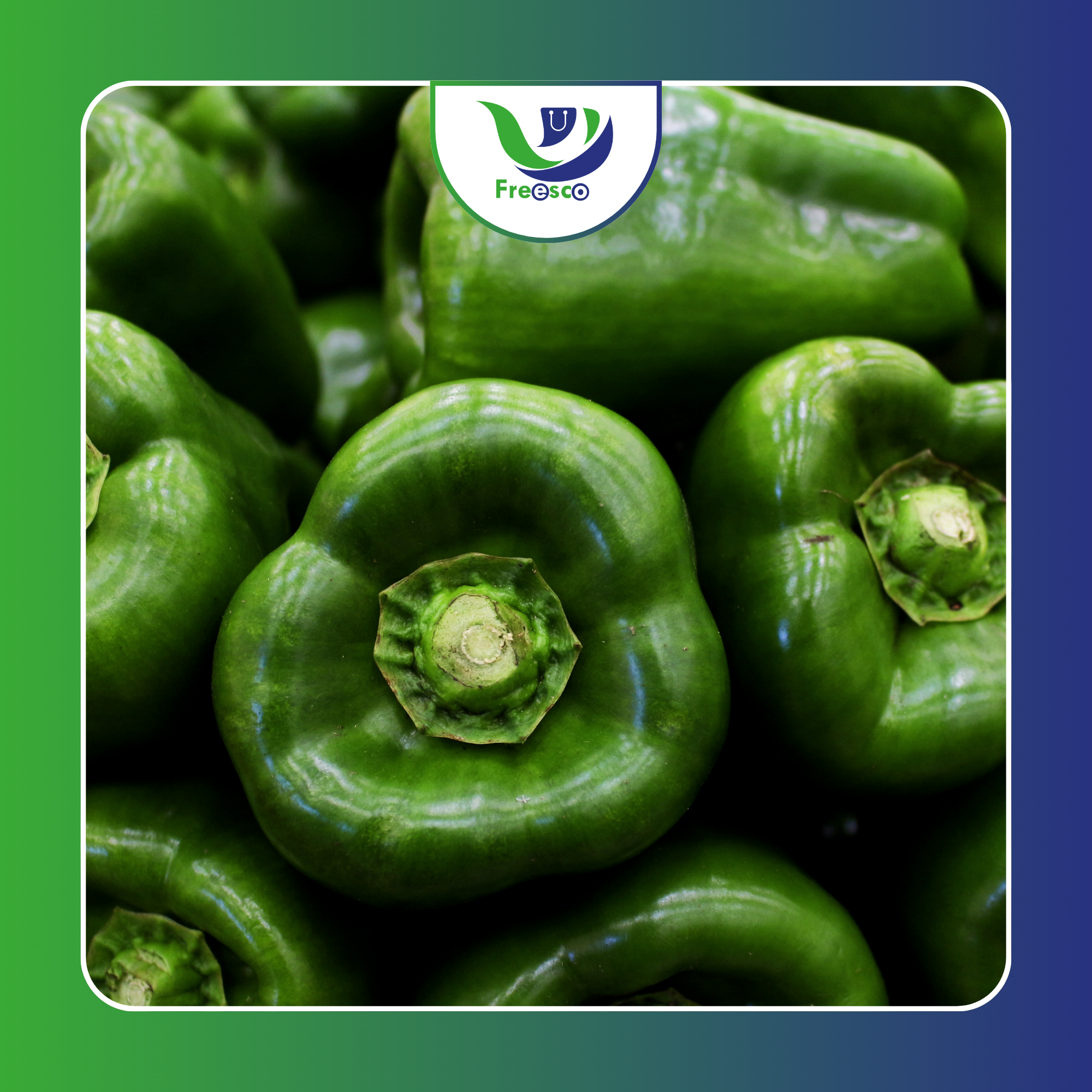 Pimento Verde_0