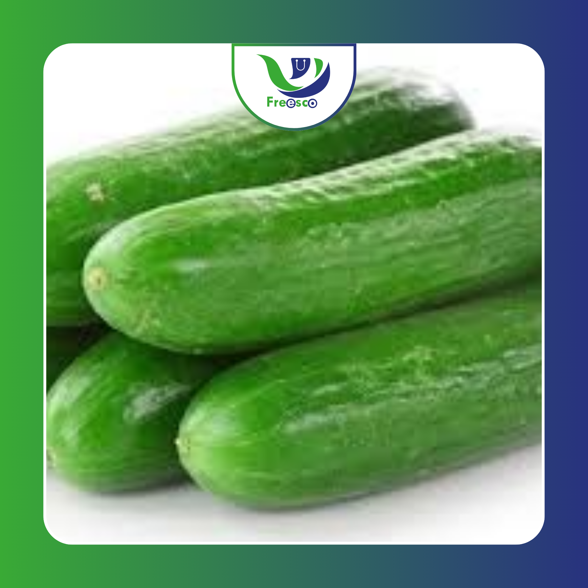 Pepino Nacional_0