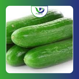 Pepino Nacional