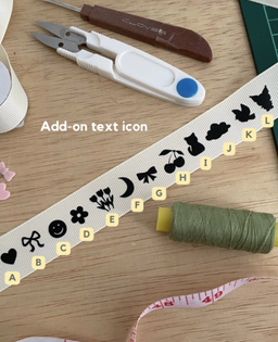 Tissue Case