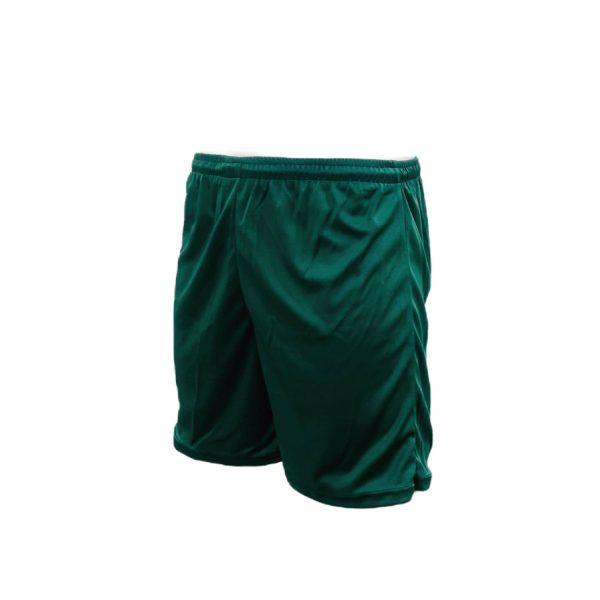 Plain Shorts Pack of 14_5