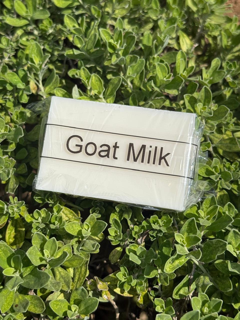 Goat Milk_0