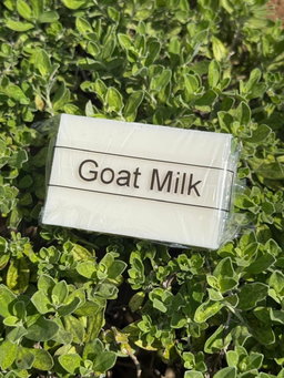Goat Milk