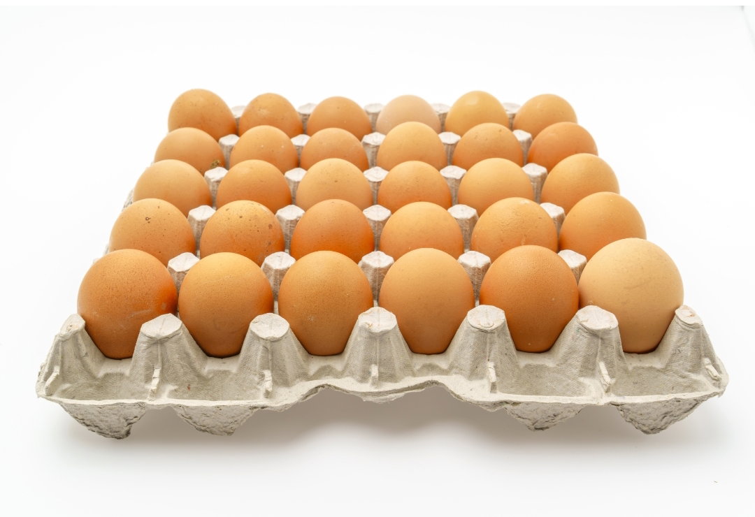 EGGS 30 PCS WHITE/ BROWN