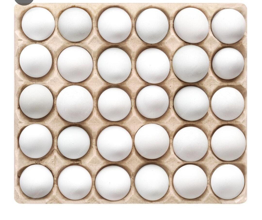 EGGS 30 PCS WHITE/ BROWN_1