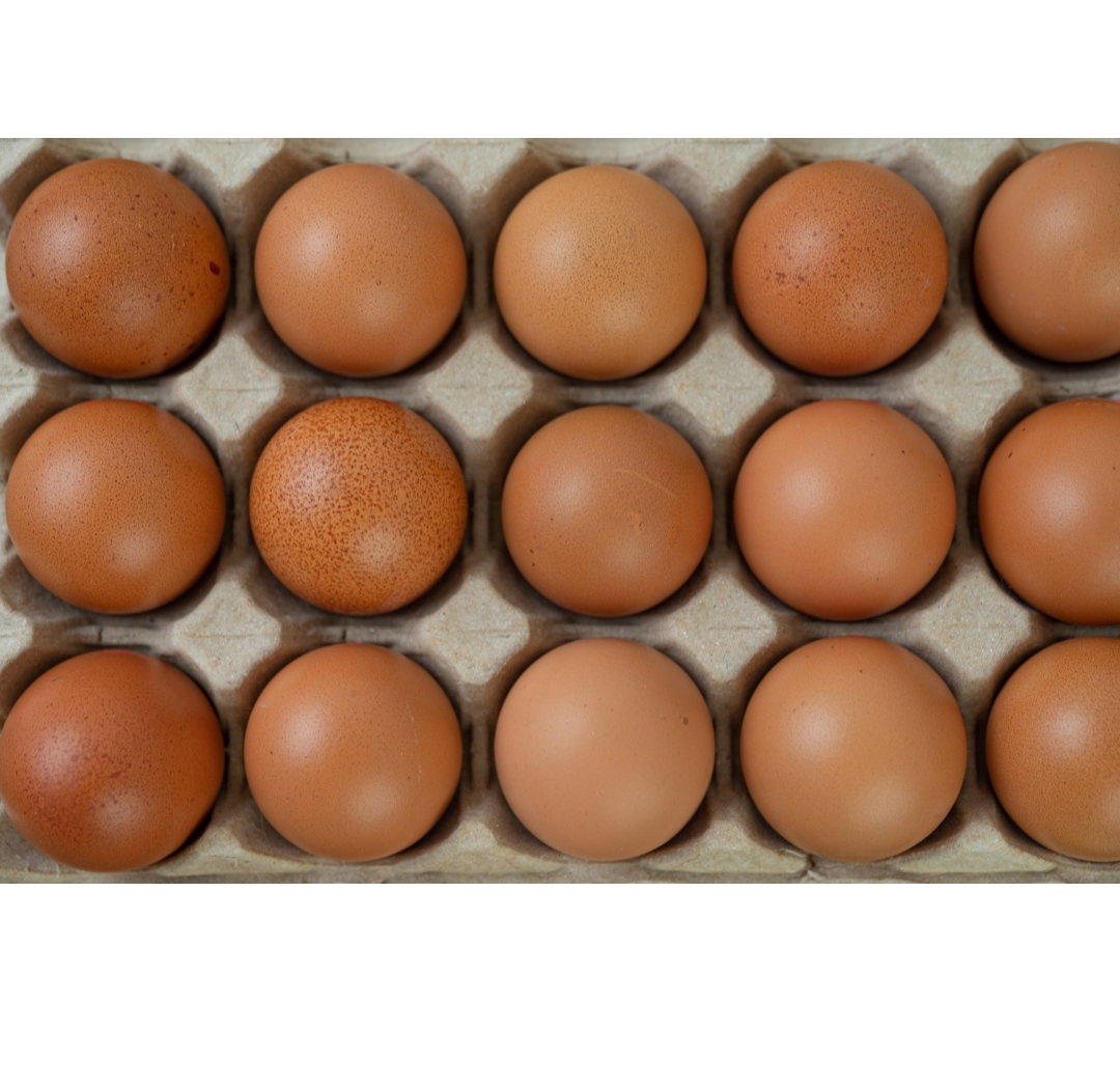 EGGS 15 PCS WHITE/ BROWN_1