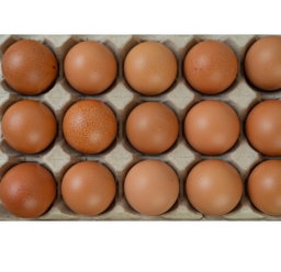 EGGS 15 PCS WHITE/ BROWN