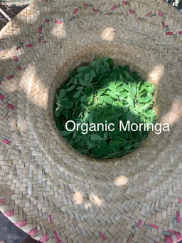 Organic Moringa Leaf Powder 