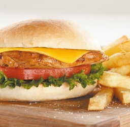 BURGERS