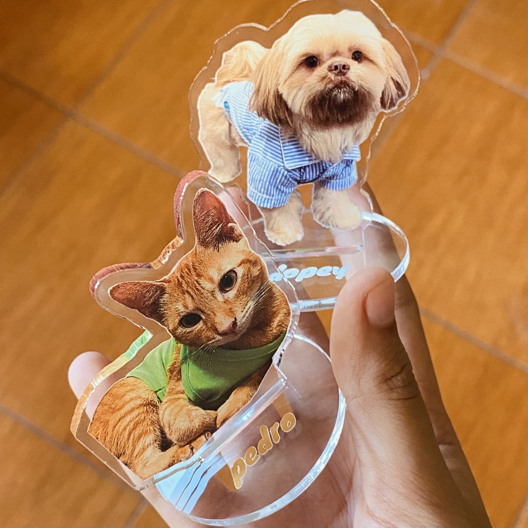 Customized Pet Standee