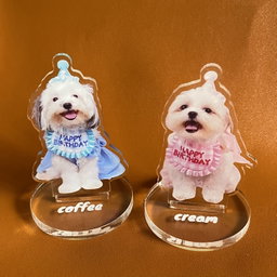 Customized Pet Standee