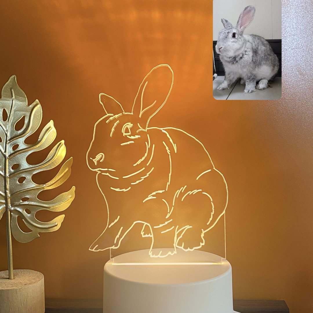 Customized LED Memento Lamp