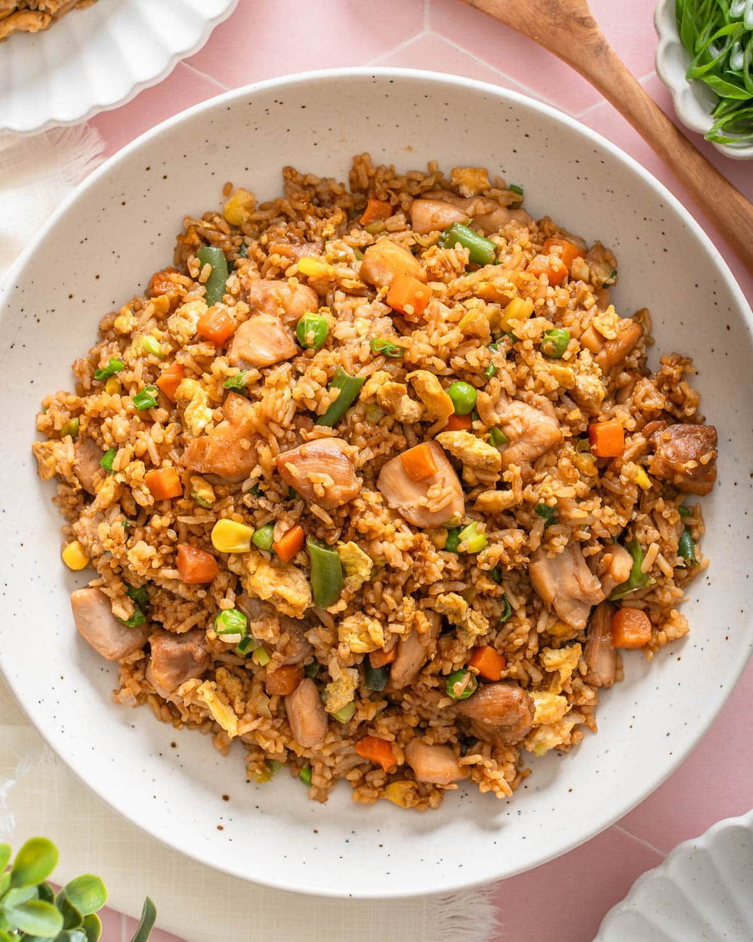 Special chicken fried rice