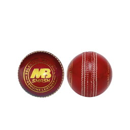 Smash Cricket Ball