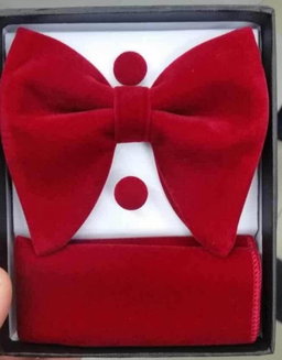 Butterfly  Bow ties