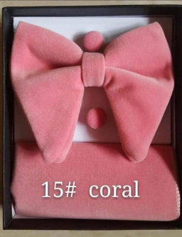 Butterfly  Bow ties