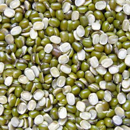 Urad Hari Chilka