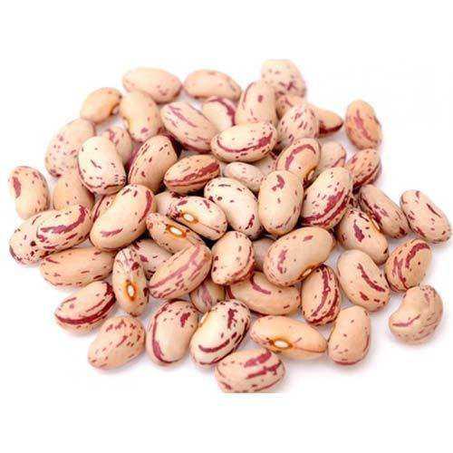 Rajma_0