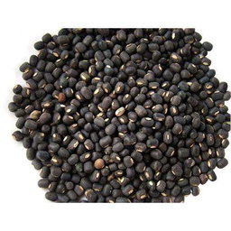 Urad Kala ( Sabut )