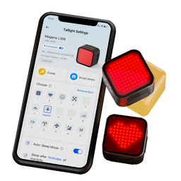 Luz Trasera de Expresión Inteligente L308