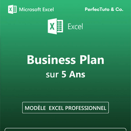 Business Plan sur 5 ans