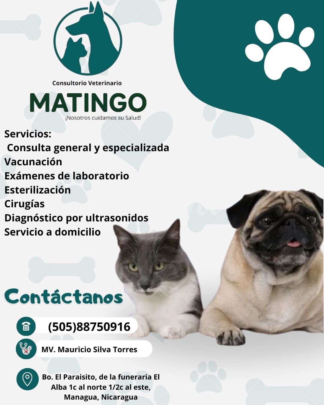 Escríbenos por Whatsapp _0