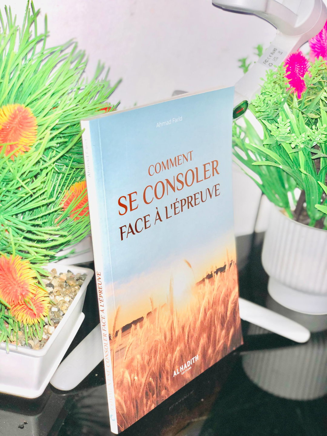 Comment se consoler face à l'épreuve.